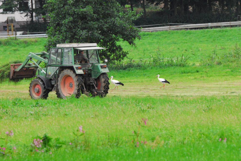 paar-nahrungssuche-traktor