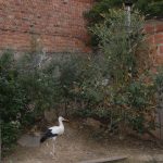 Außengelände fertig - geschafft