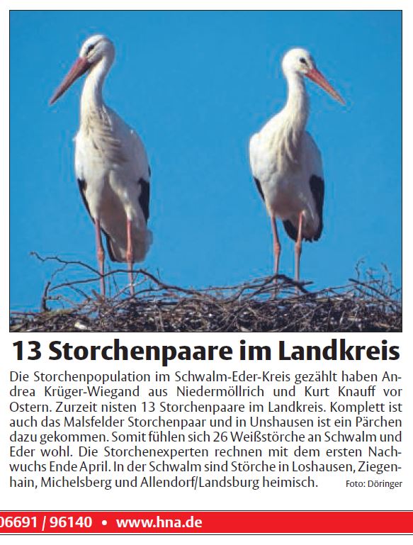 13storchenpaareimsek