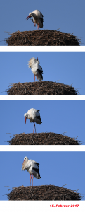 collageankunft
