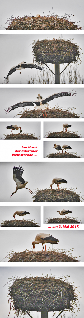 schlupf