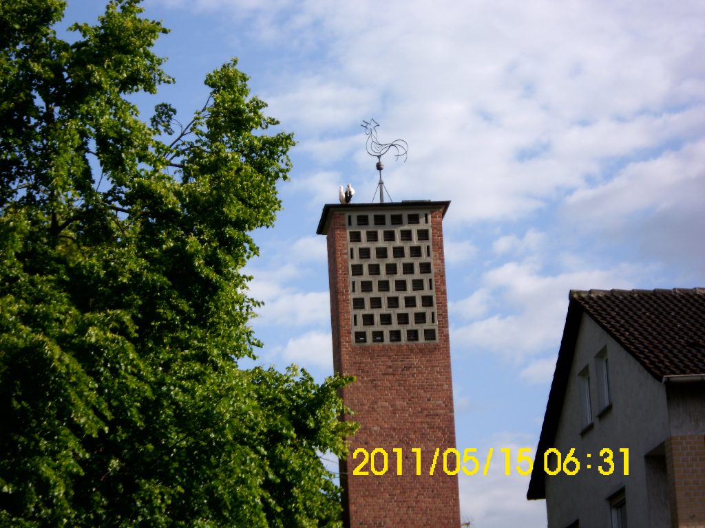 storchenpaar-kath-kirche2011