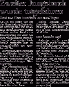 hundhetztstoerche