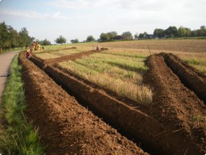 trockengelegtesackerland