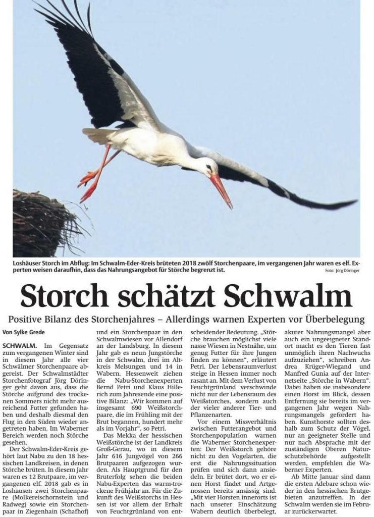 Störche 2018 Schwalm-Eder-Kreis