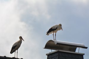 Ärger bahnt sich an