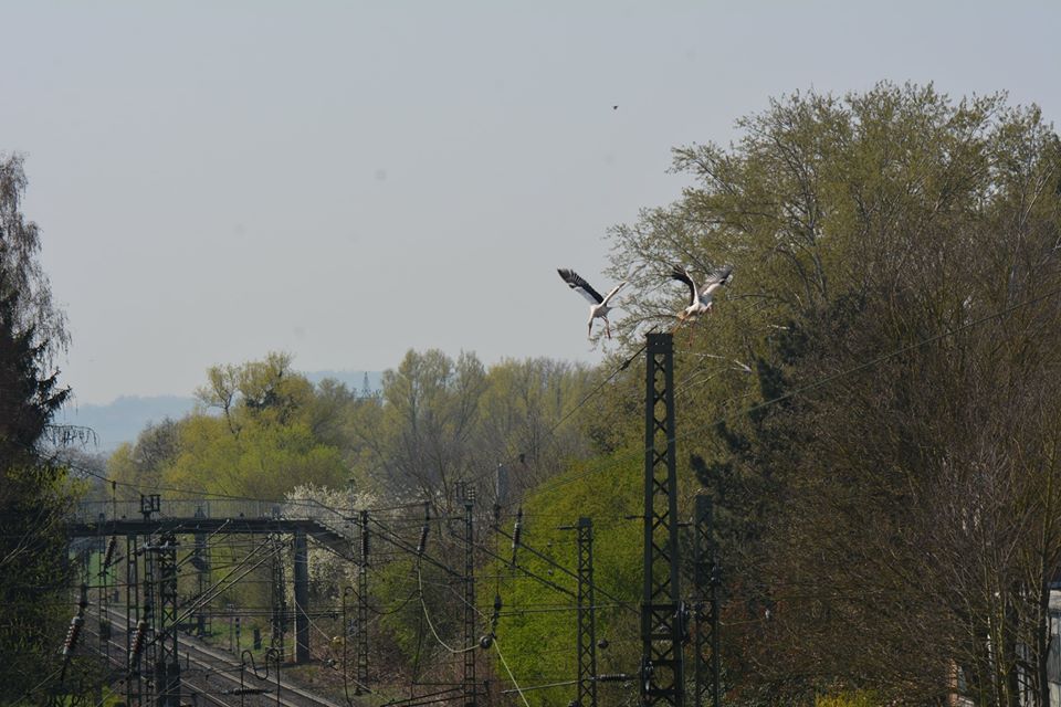 Kämpfe an der Bahnbrücke Wabern