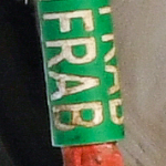 Weißstorch Frankreich mit Farbring markiert