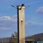 Brutversuch Parkplatz Wabern Zuckerfabrik