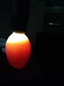 IMG_20240425_094931